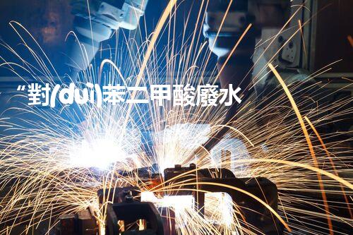 “對(duì)苯二甲酸廢水處理，綠色創(chuàng)新引領(lǐng)環(huán)保新篇章”